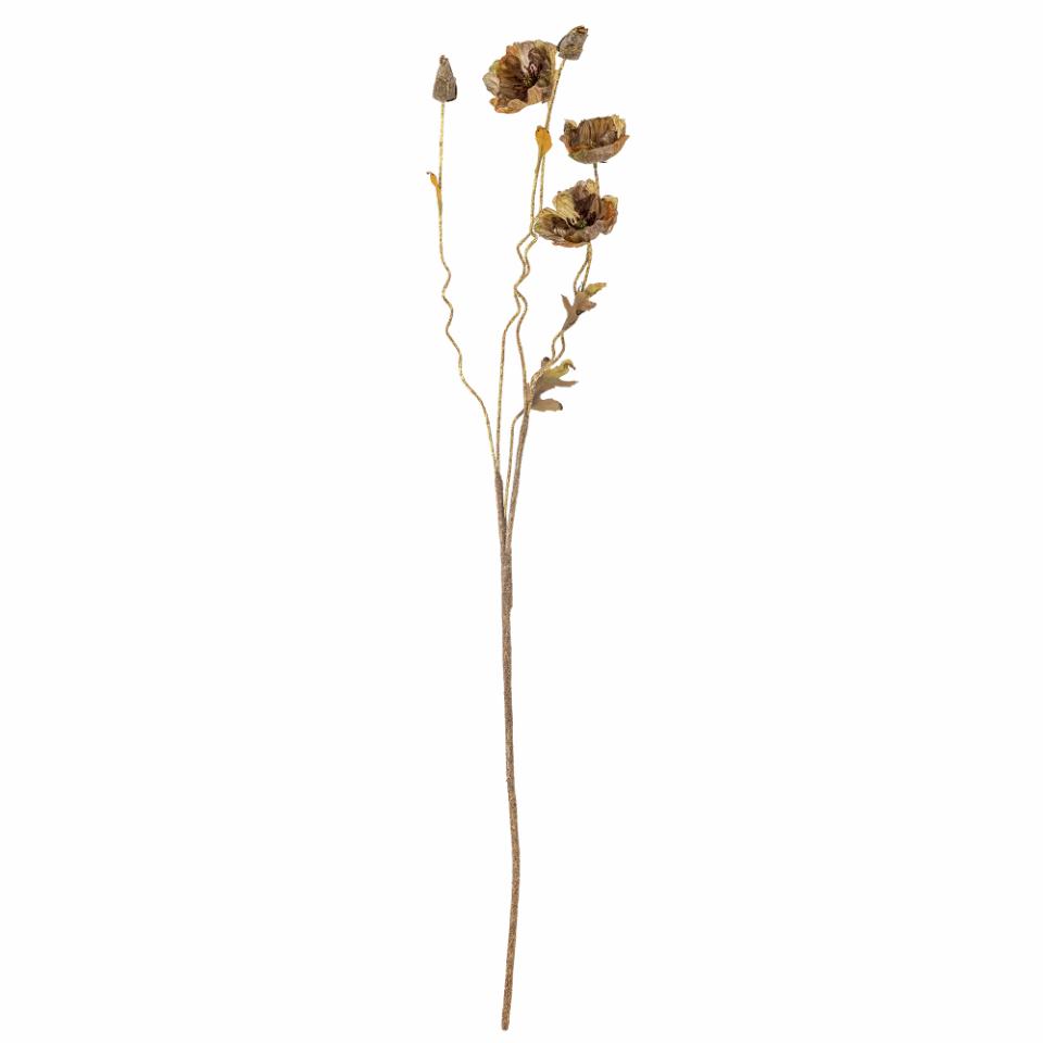 Mohnblume Stiel braun