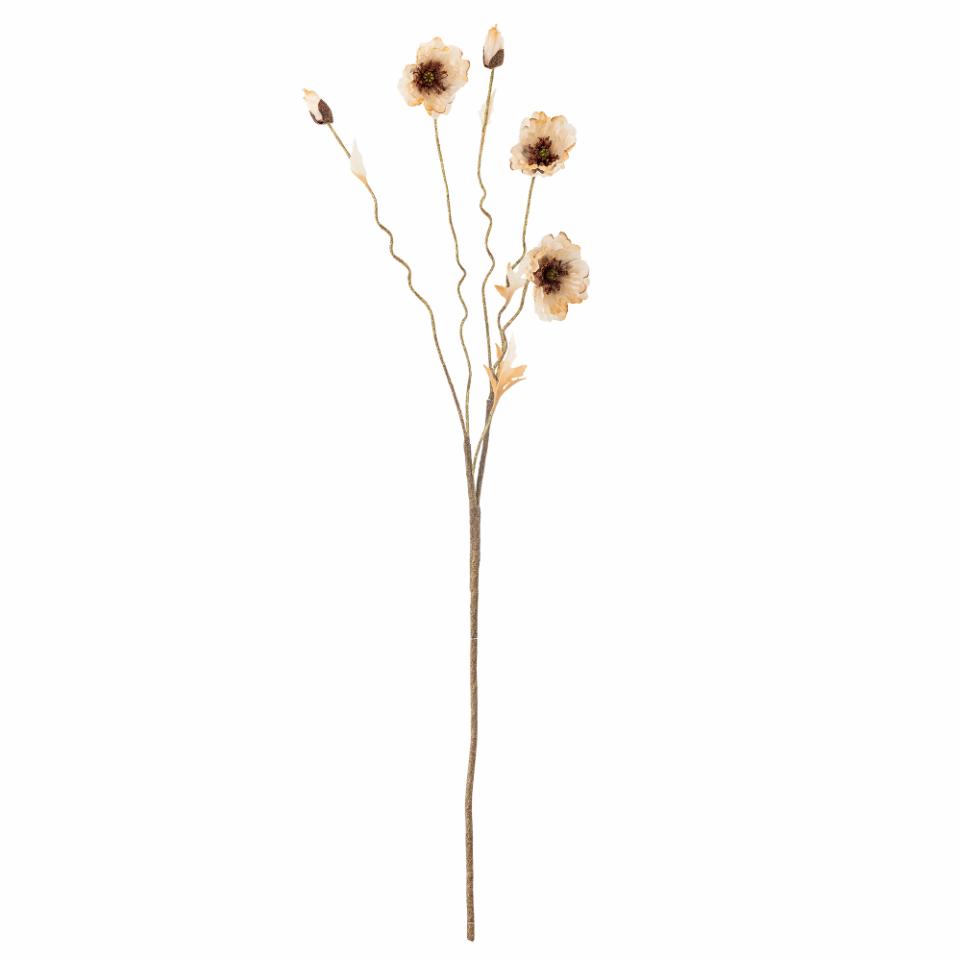 Mohnblume Stiel natur