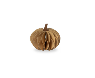 Papier-Kürbis Lundhagen light brown