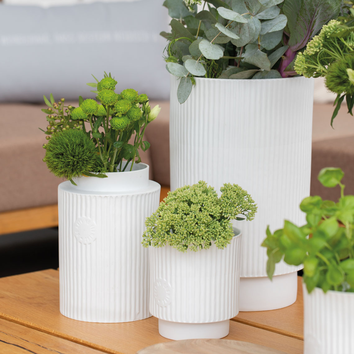 LIVING Hausfreunde Übertopf "Keep on growing"