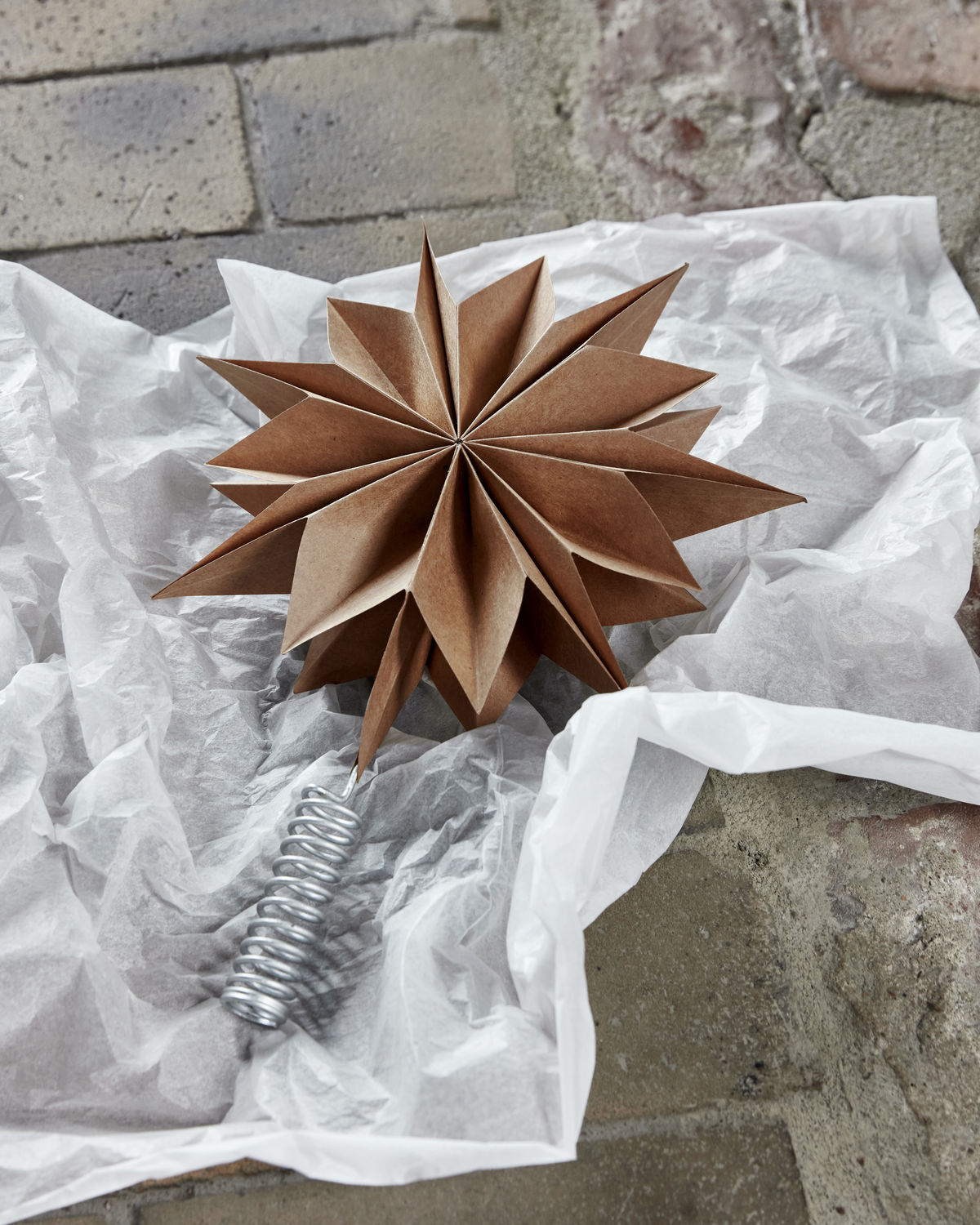 Christbaumstern Capella Nature