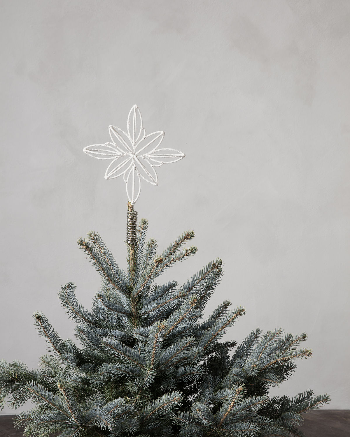 Christbaumstern Soft Beige