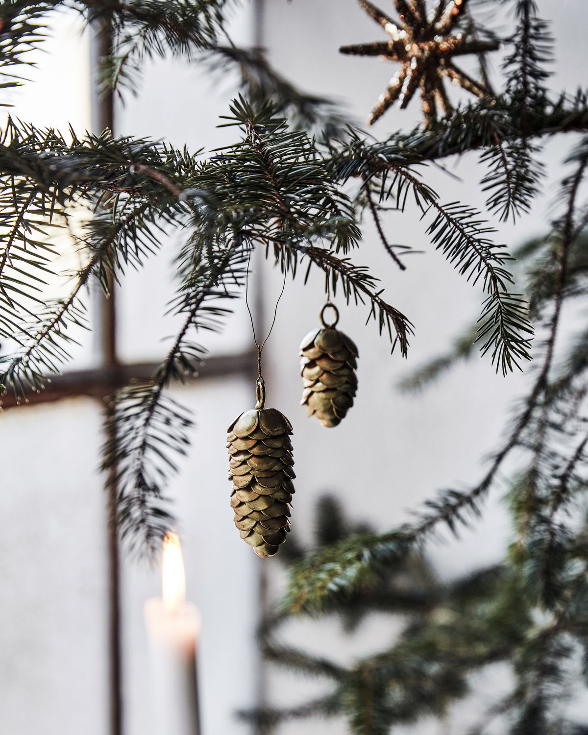 Anhänger Ornament Zapfen 2er Set