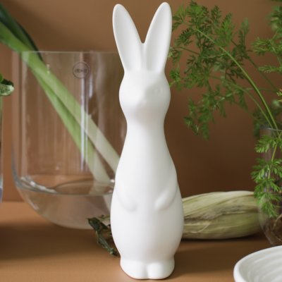 Swedish Rabbit L white