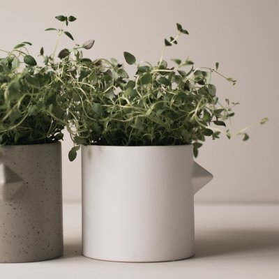 Übertopf Chicken white