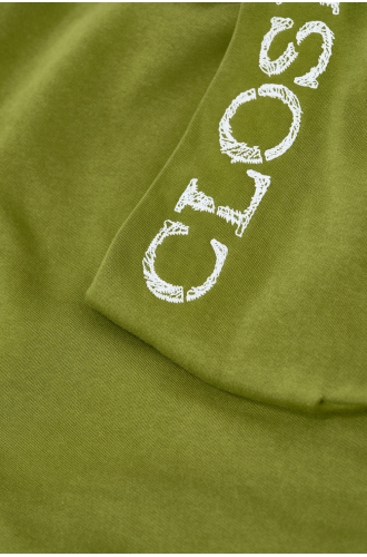 Hoodie Logo Hoodie pistacia green