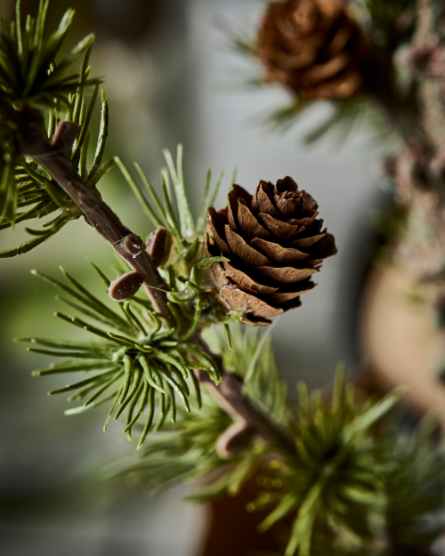 Weihnachtsbaum, grün