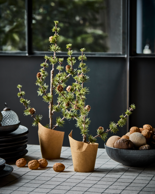 Weihnachtsbaum, grün