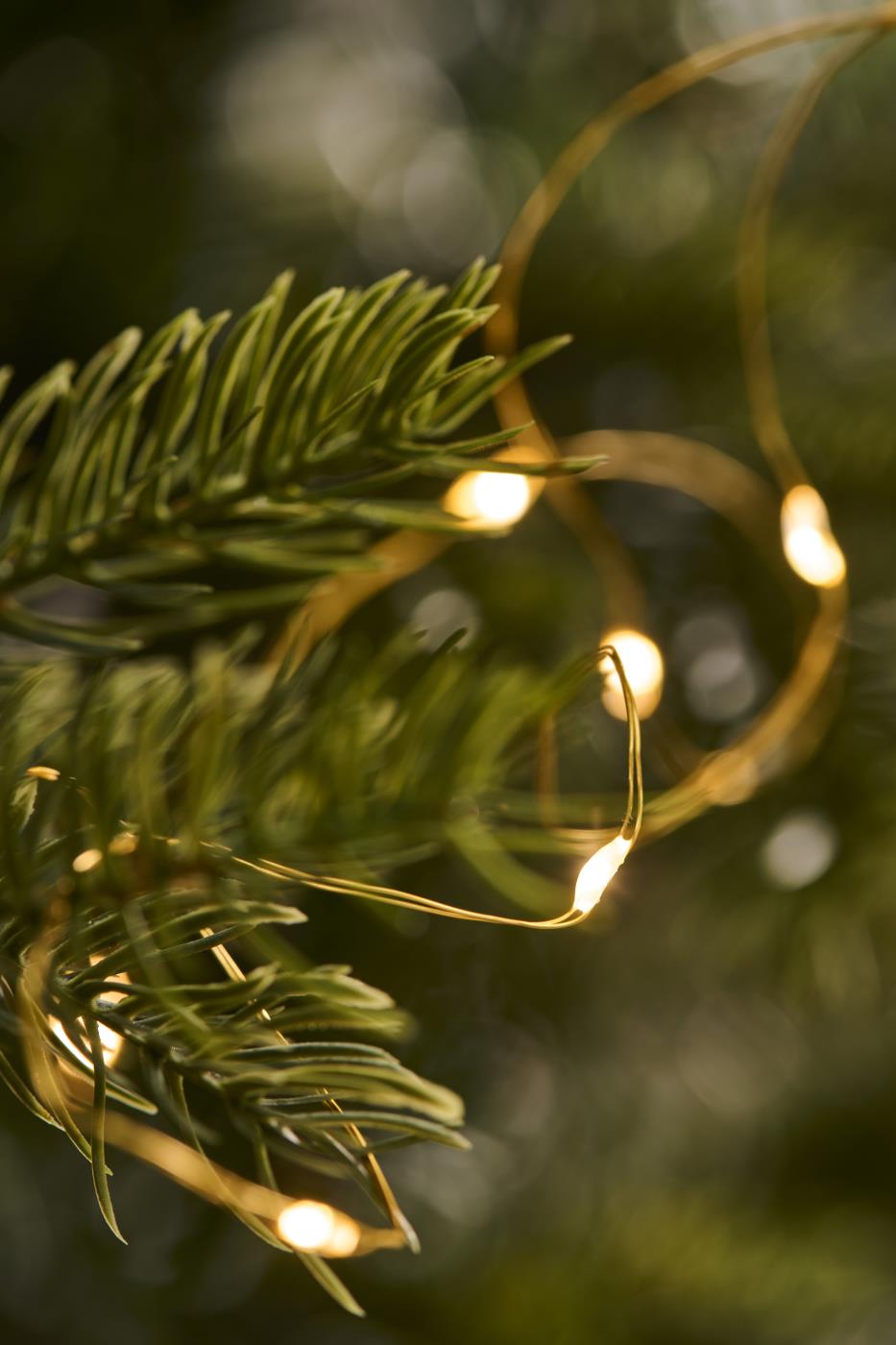 Lichterkette für Draußen 40LED