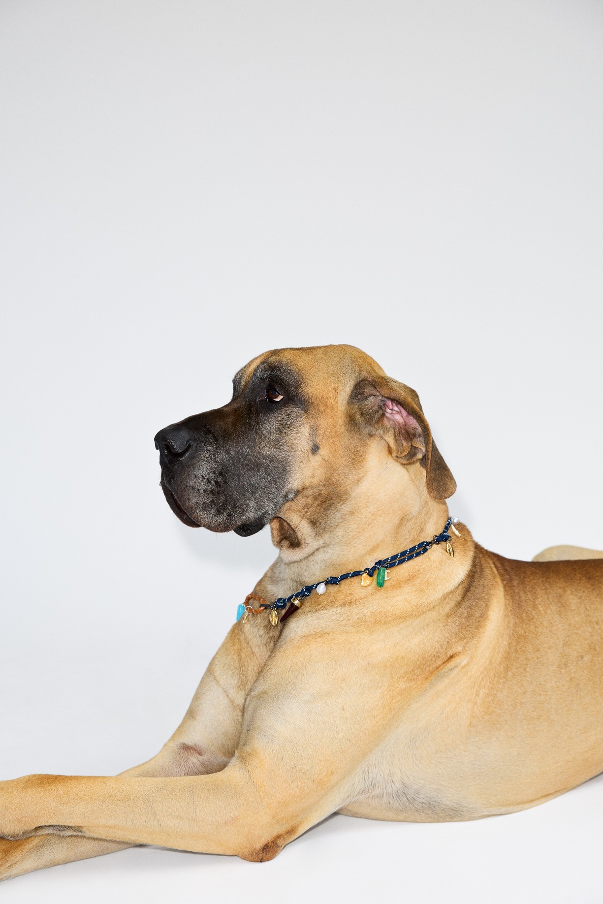 Accessoire Bayu navy